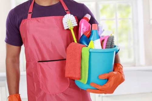 Bathroom cleaning for a Balham household