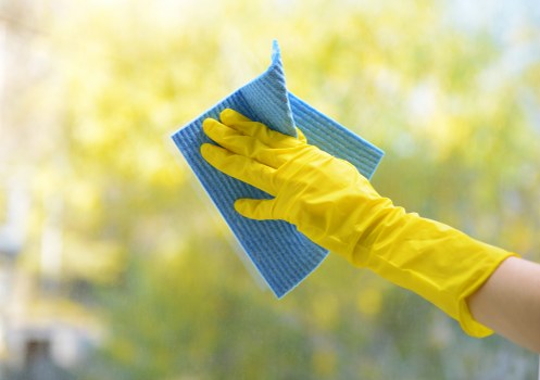Carpet cleaning team using eco-friendly recycling practices in Balham