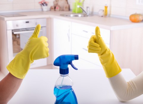 Professional cleaners in Balham providing domestic cleaning services