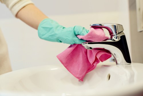 Detailed window cleaning service for Balham homes and businesses