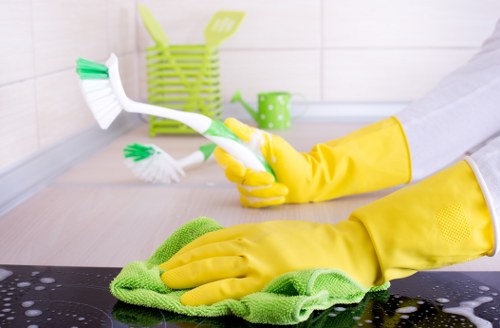 Upholstery cleaning equipment used on a sofa in Balham